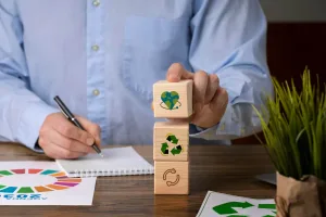 O novo mercado de carbono brasileiro e seus desafios de implementação