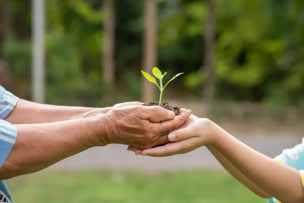 O Dia Mundial do Meio Ambiente, sua importância, desafios e urgências regulatórias