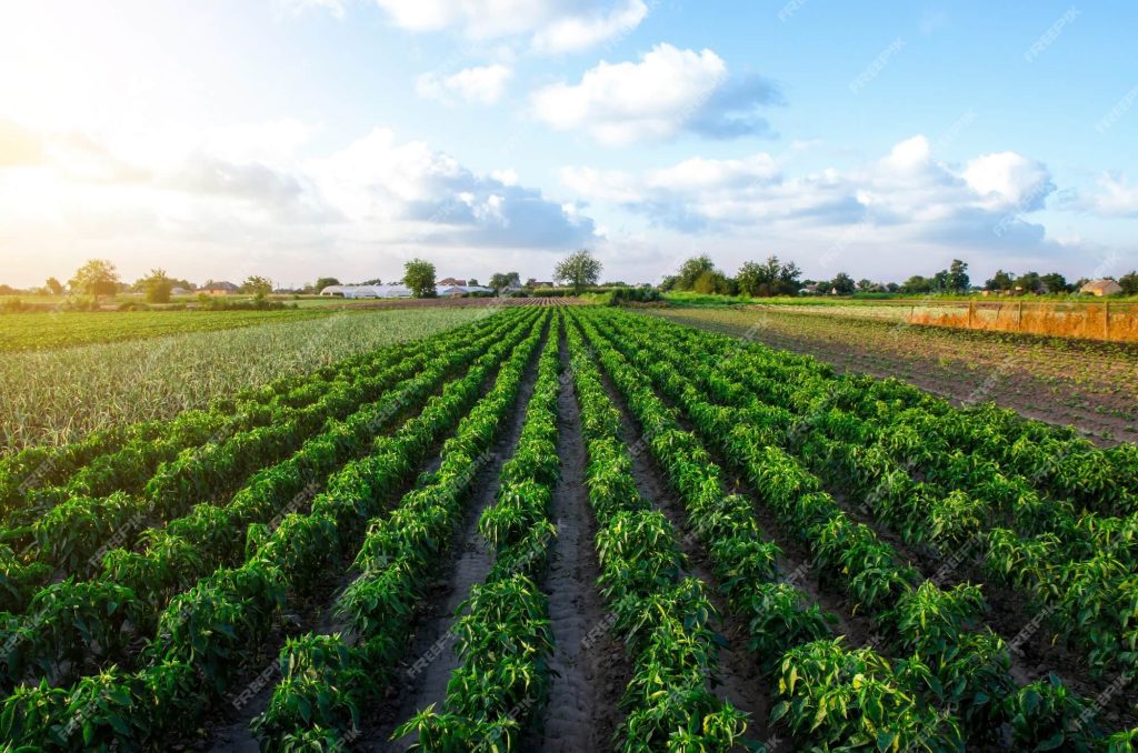 Conheça  o Programa Nacional de Redução de Agrotóxicos – PRONARA