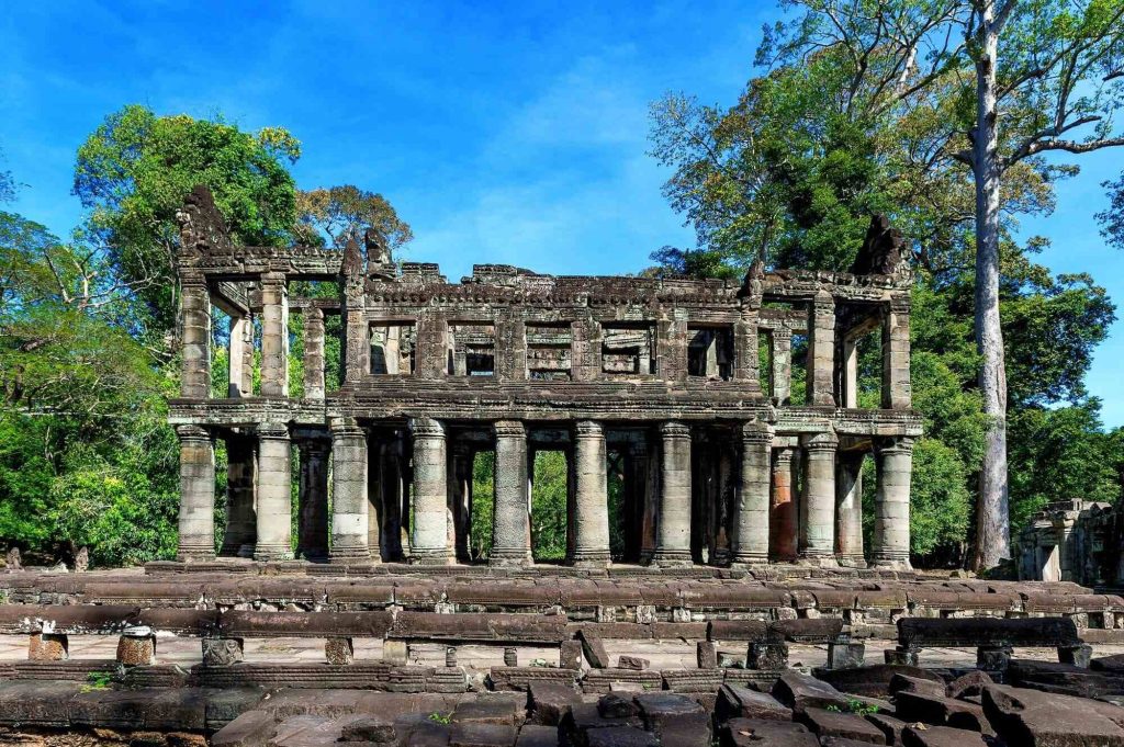 18 anos do ICMBio: Parceria com o IBAMA e Perspectiva de Futuro da Defesa da Biodiversidade