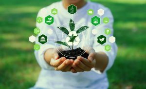 Responsabilidade compartilhada pelo ciclo de vida do produto: um compromisso coletivo com o futuro