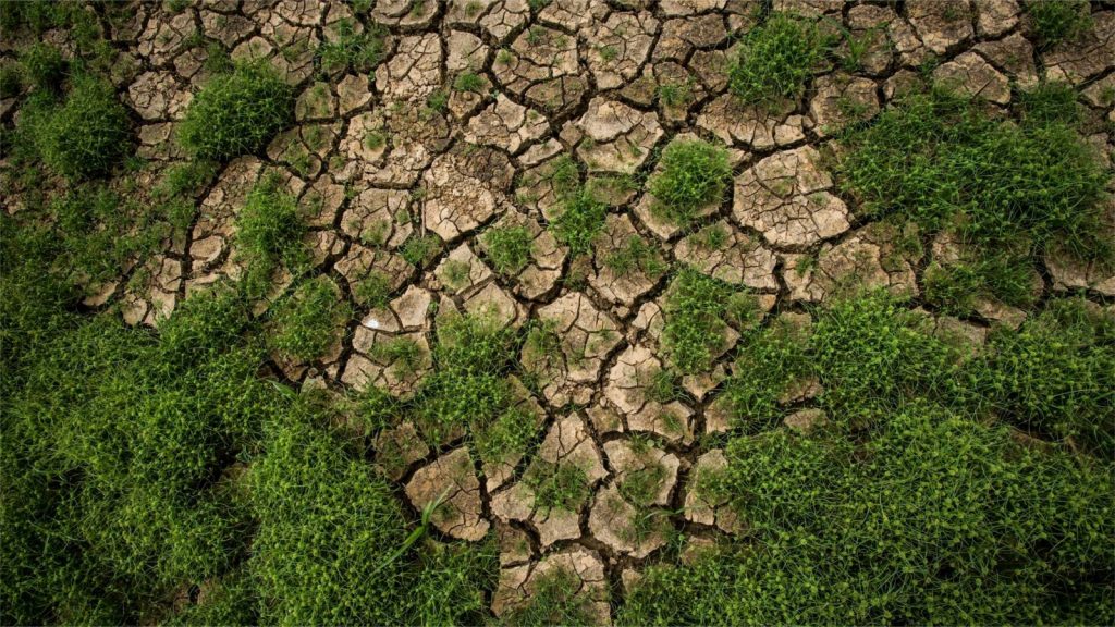 Mudanças Climáticas: desafios globais e caminhos para um futuro sustentável