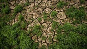 Mudanças Climáticas: desafios globais e caminhos para um futuro sustentável