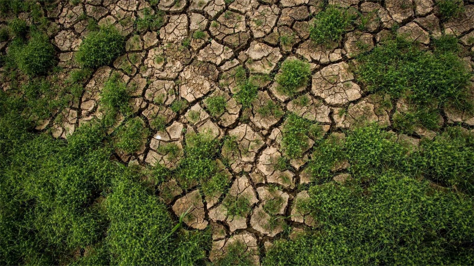 Mudanças Climáticas: desafios globais e caminhos para um futuro sustentável