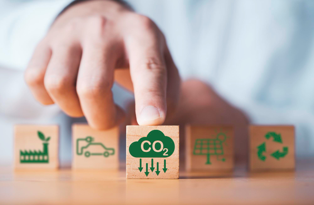Crédito de carbono e integridade ambiental: desafios jurídicos para empresas
